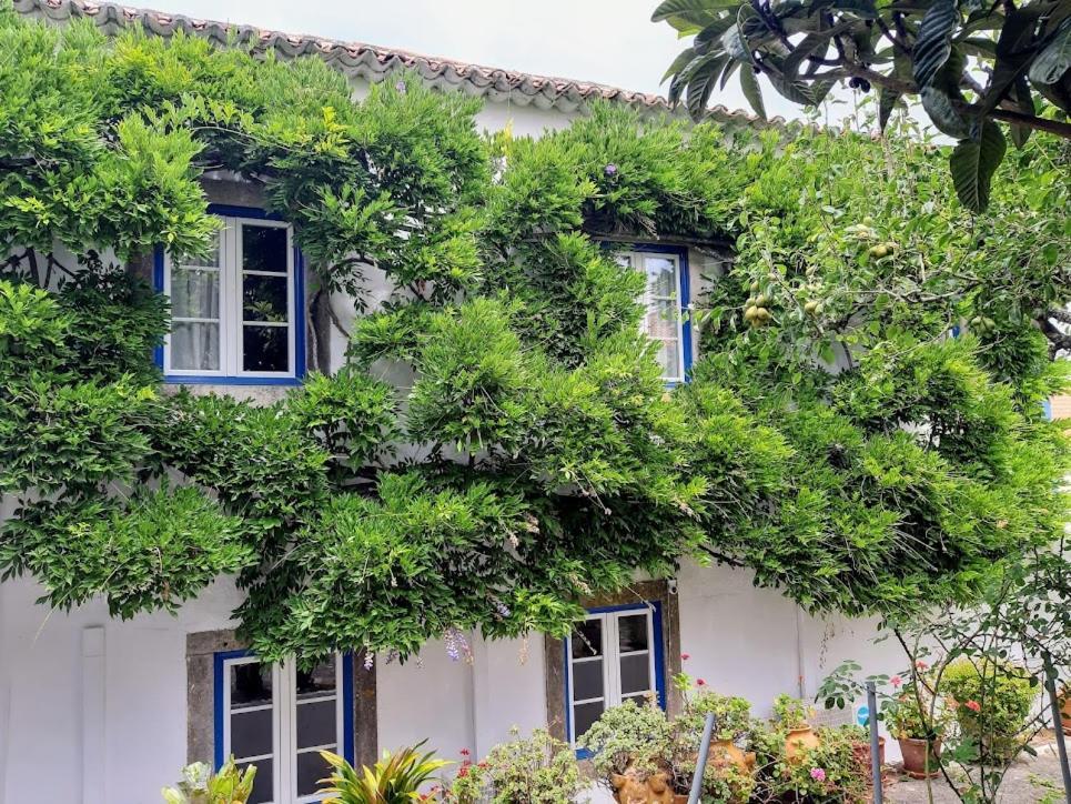 Vila Casa Do Sobral Όμπιδος Εξωτερικό φωτογραφία