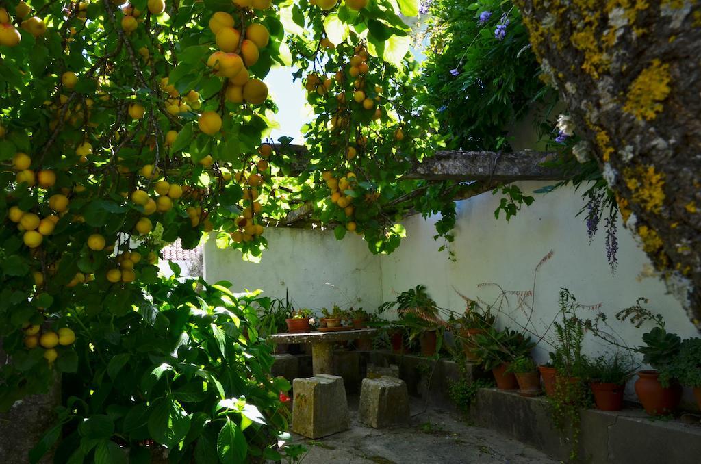 Vila Casa Do Sobral Όμπιδος Δωμάτιο φωτογραφία